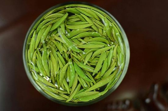 雀舌茶什么人不能喝，雀舌茶的功效與禁忌