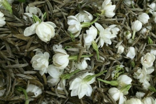 茉莉銀針口感，茉莉銀針是什么味道？