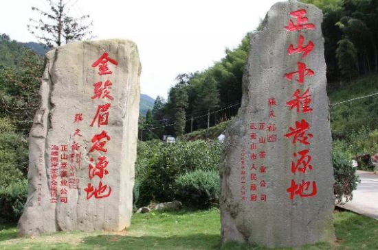 300塊錢的金駿眉能喝嗎，兩三百多金駿眉和一千多區(qū)別