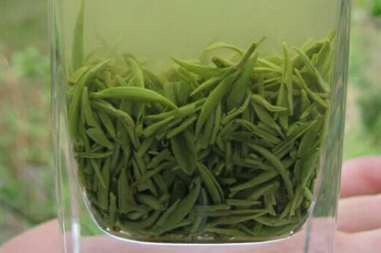 什么綠茶茶葉唇齒留香，哪個(gè)品種綠茶香氣好？