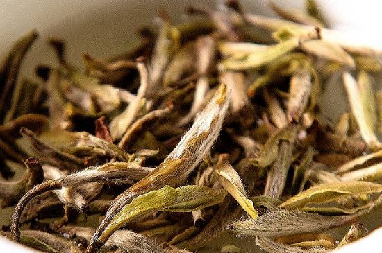 荒野銀針市場價多少，真正的荒野白毫銀針多少錢？
